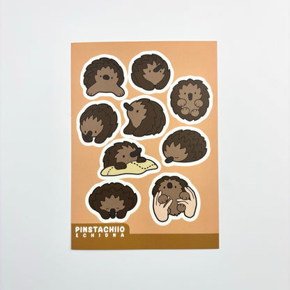 Echidna Sticker Sheet